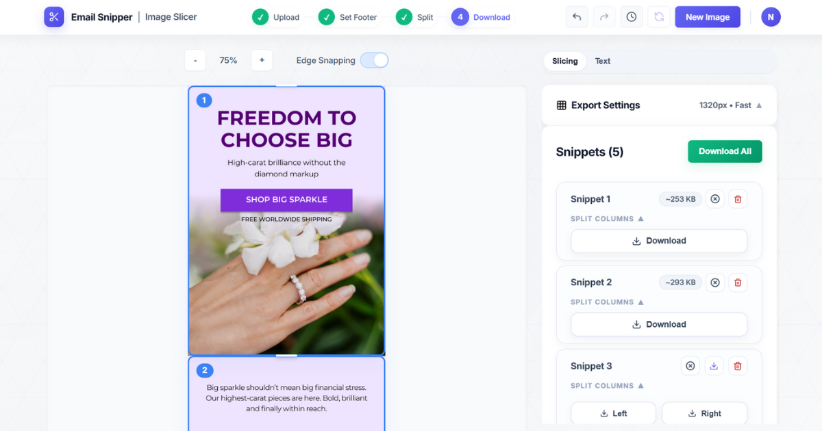 Email Snipper Workflow